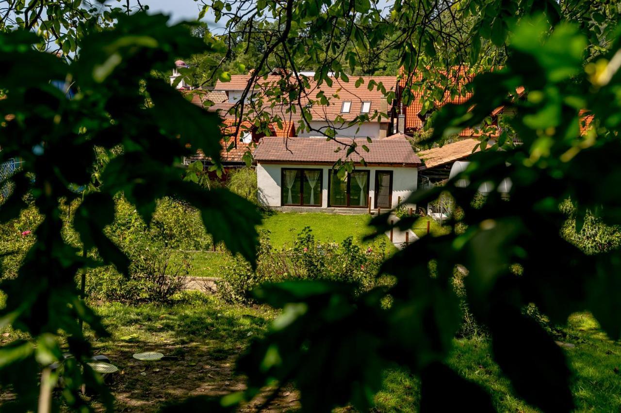 ホテル Casa Adalmo シギショアラ エクステリア 写真