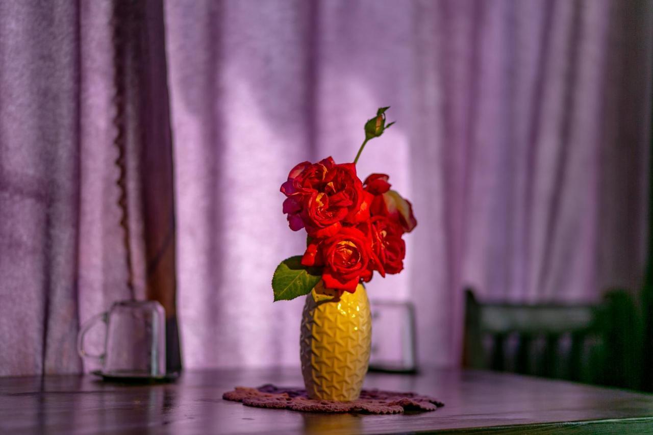 ホテル Casa Adalmo シギショアラ エクステリア 写真