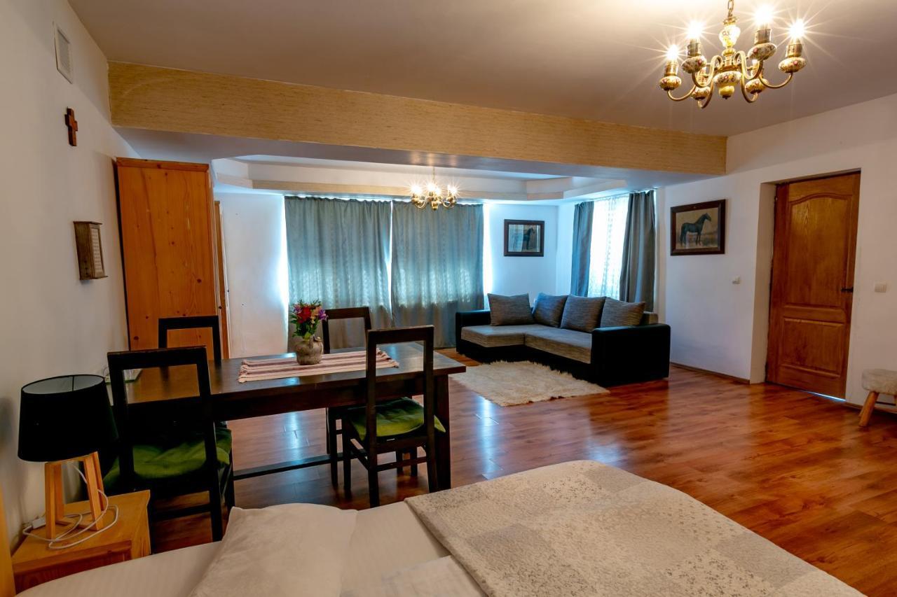 ホテル Casa Adalmo シギショアラ エクステリア 写真